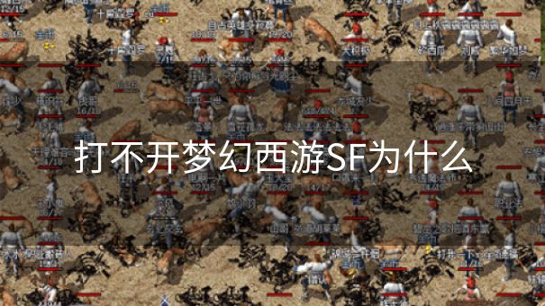 打不开梦幻西游SF为什么