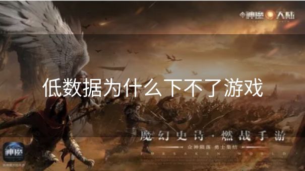 低数据为什么下不了游戏
