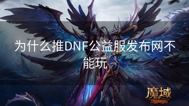 为什么推DNF公益服发布网不能玩