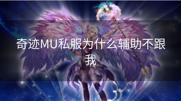 奇迹MU私服为什么辅助不跟我