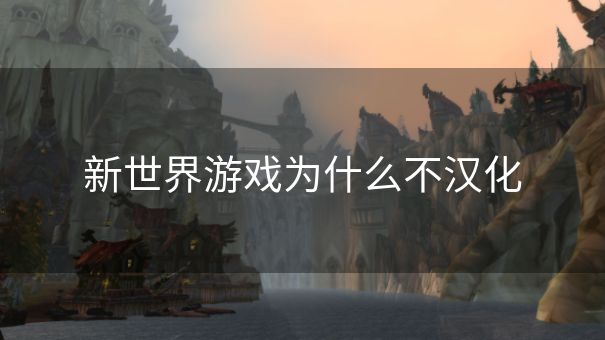 新世界游戏为什么不汉化