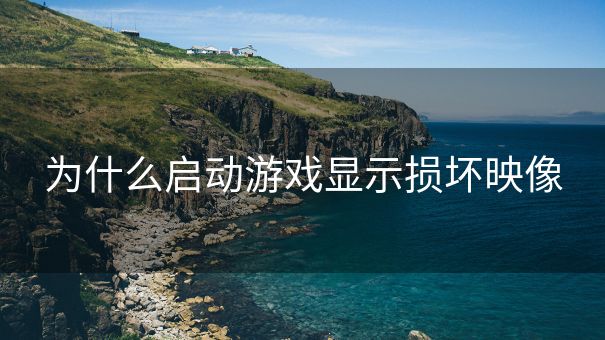 为什么启动游戏显示损坏映像
