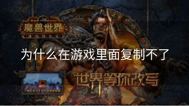 为什么在游戏里面复制不了