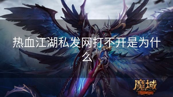 热血江湖私发网打不开是为什么