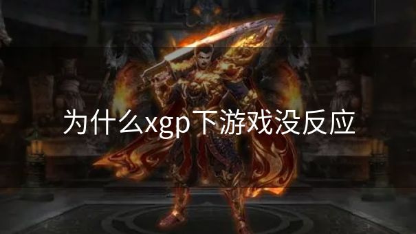 为什么xgp下游戏没反应