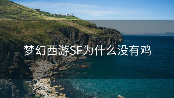梦幻西游SF为什么没有鸡