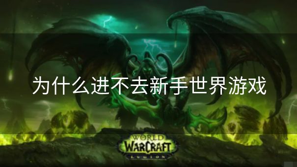 为什么进不去新手世界游戏