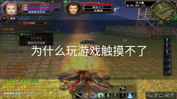 为什么玩游戏触摸不了