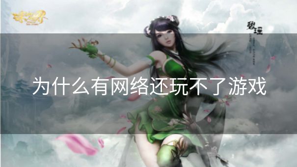 为什么有网络还玩不了游戏