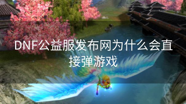 DNF公益服发布网为什么会直接弹游戏