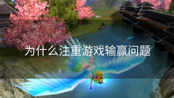 为什么注重游戏输赢问题
