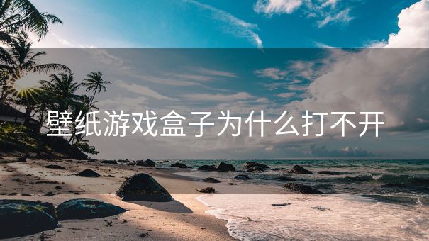 壁纸游戏盒子为什么打不开