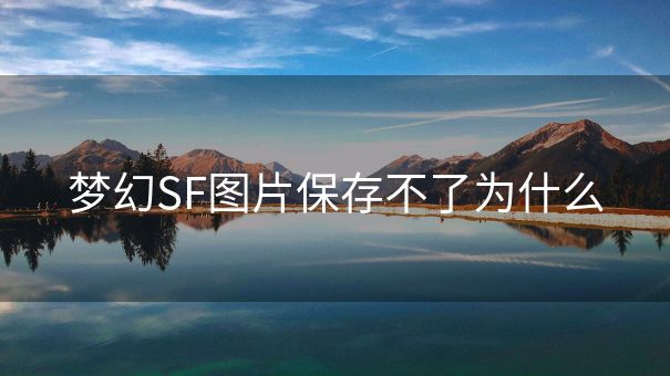 梦幻SF图片保存不了为什么