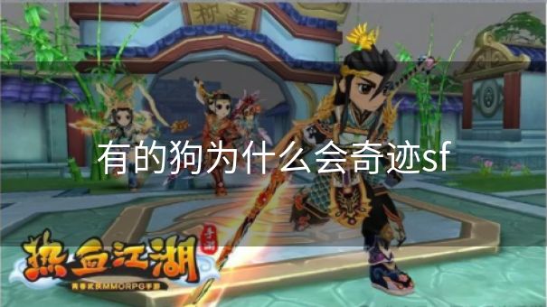 有的狗为什么会奇迹sf 有的狗为什么会奇迹sf