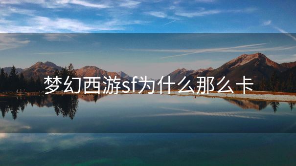 梦幻西游sf为什么那么卡