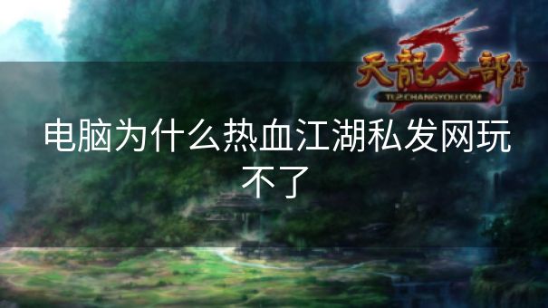 电脑为什么热血江湖私发网玩不了