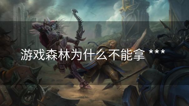 游戏森林为什么不能拿 *** 