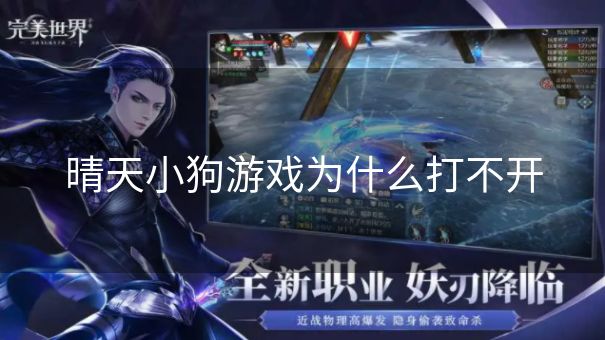 晴天小狗游戏为什么打不开