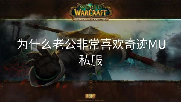 为什么老公非常喜欢奇迹MU私服