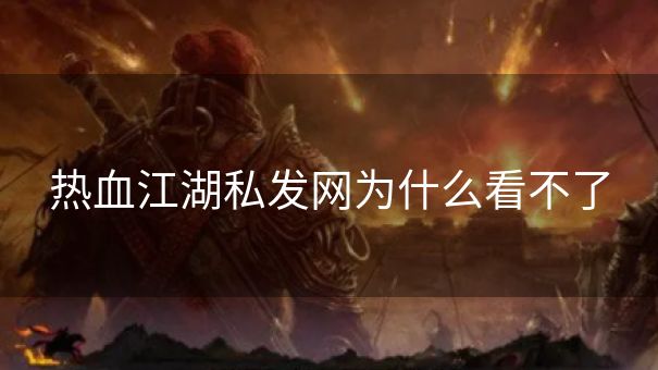 热血江湖私发网为什么看不了