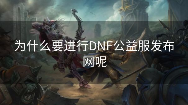 为什么要进行DNF公益服发布网呢