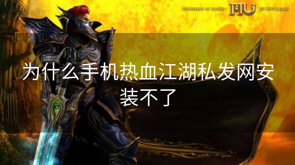 为什么手机热血江湖私发网安装不了