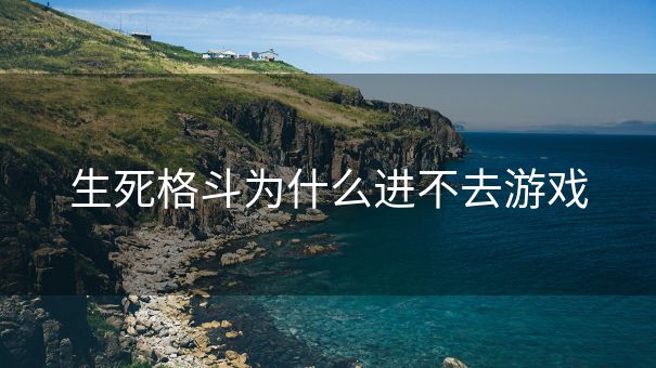 生死格斗为什么进不去游戏