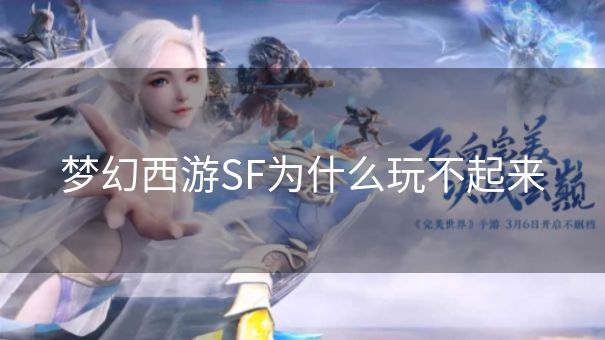 梦幻西游SF为什么玩不起来