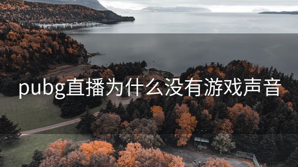 pubg直播为什么没有游戏声音