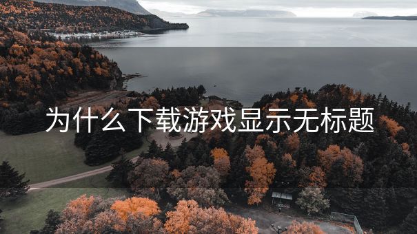 为什么下载游戏显示无标题
