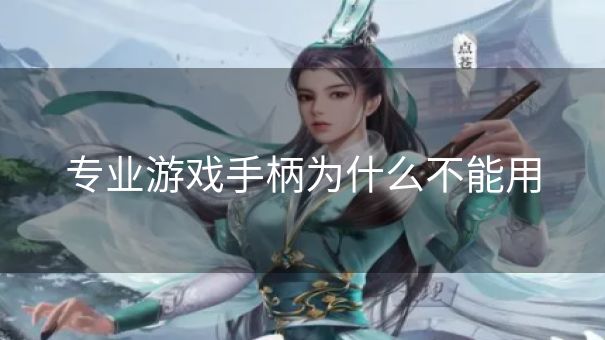 专业游戏手柄为什么不能用