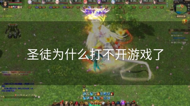 圣徒为什么打不开游戏了 圣徒为什么打不开游戏了