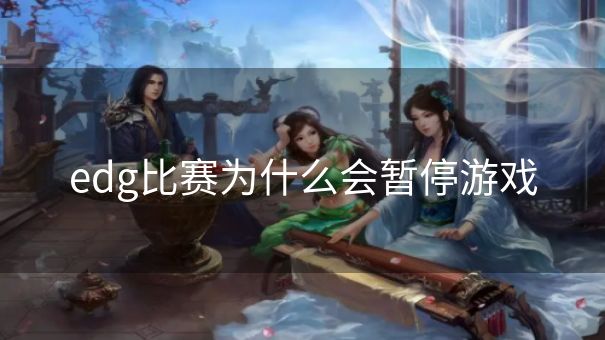 edg比赛为什么会暂停游戏