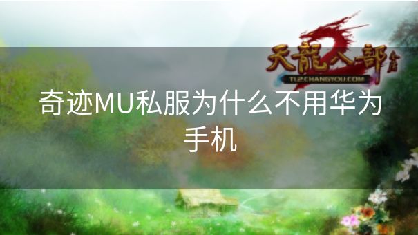奇迹MU私服为什么不用华为手机 奇迹MU私服为什么不用华为手机