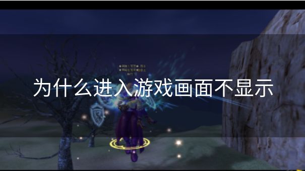 为什么进入游戏画面不显示