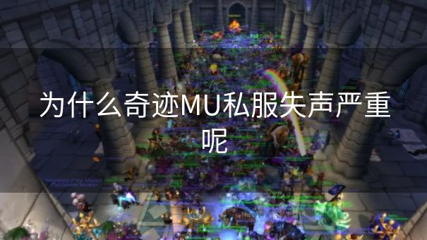 为什么奇迹MU私服失声严重呢