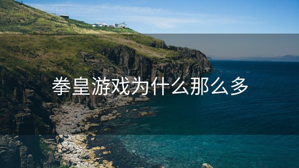 拳皇游戏为什么那么多
