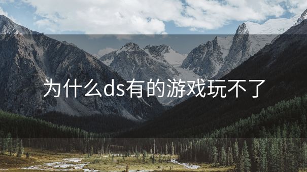 为什么ds有的游戏玩不了