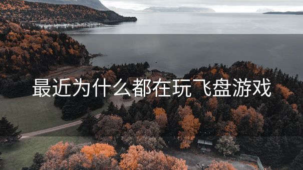 最近为什么都在玩飞盘游戏