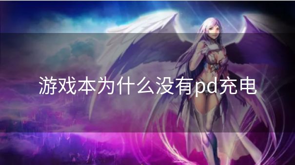 游戏本为什么没有pd充电 游戏本为什么没有pd充电