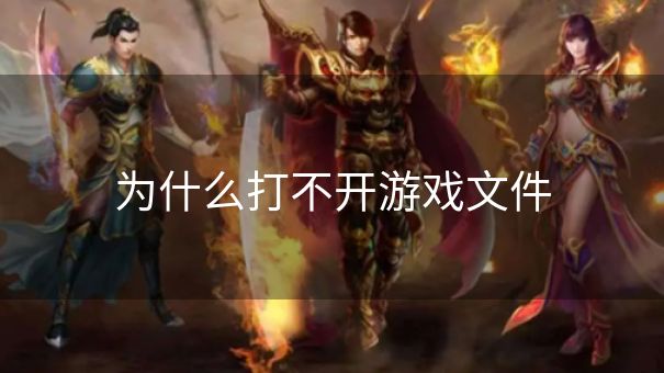 为什么打不开游戏文件