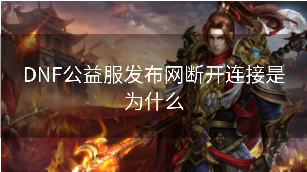DNF公益服发布网断开连接是为什么