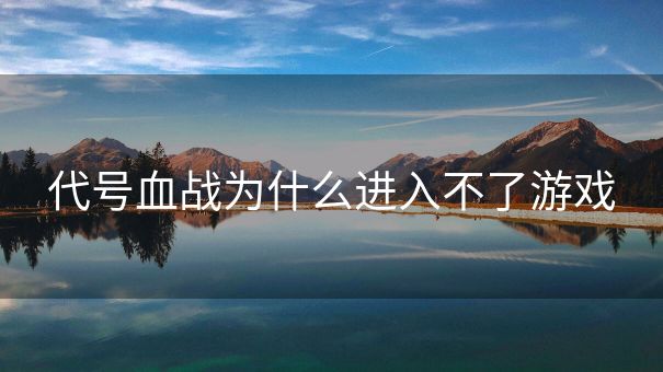 代号血战为什么进入不了游戏