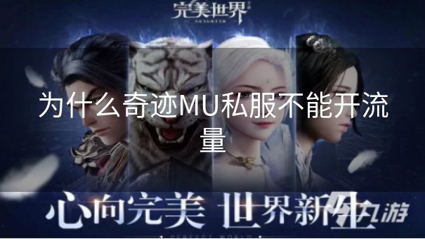 为什么奇迹MU私服不能开流量