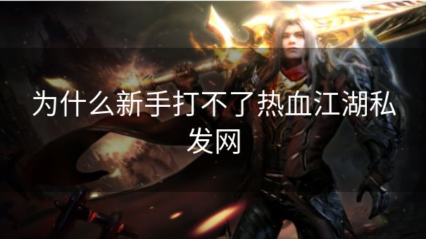 为什么新手打不了热血江湖私发网