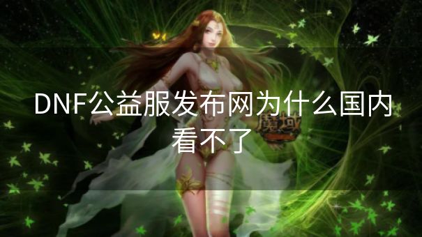 DNF公益服发布网为什么国内看不了