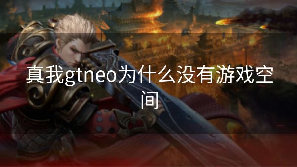 真我gtneo为什么没有游戏空间