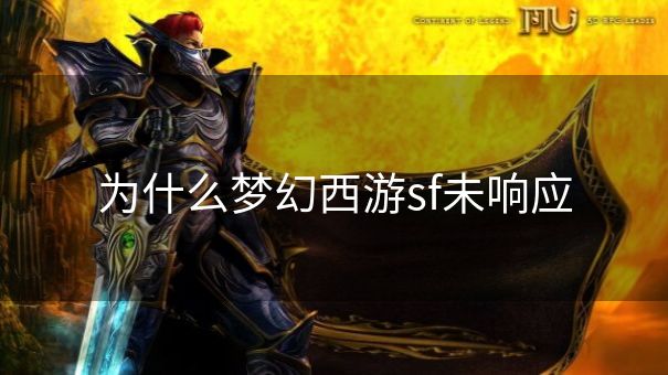 为什么梦幻西游sf未响应