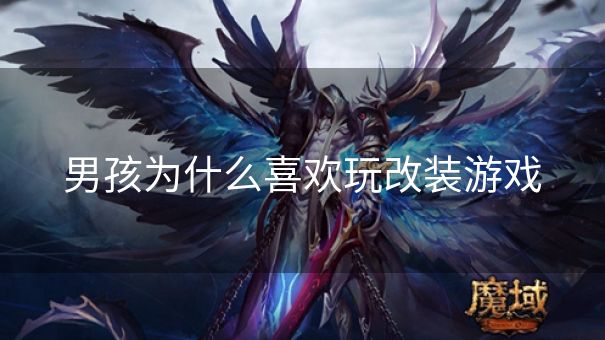 男孩为什么喜欢玩改装游戏