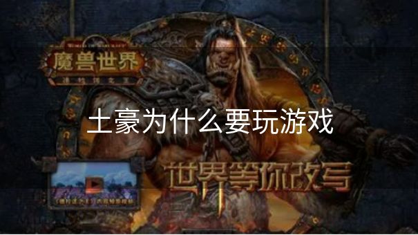 土豪为什么要玩游戏
